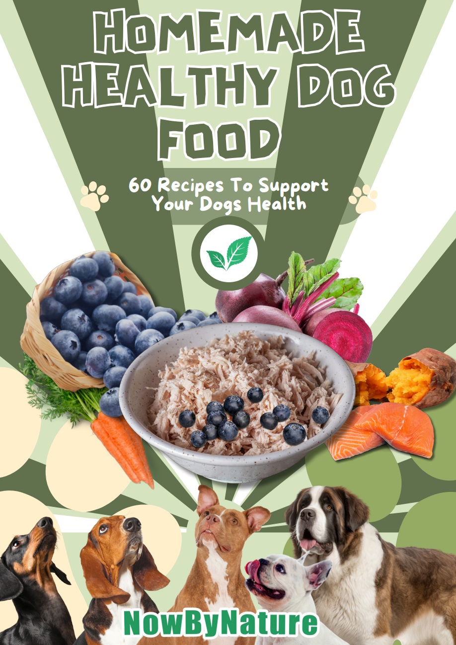 Homemade Healthy Dog Food Recipes